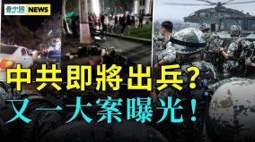 出事了急毀300萬黨報；習近平要打仗河北突發大新聞(視頻)