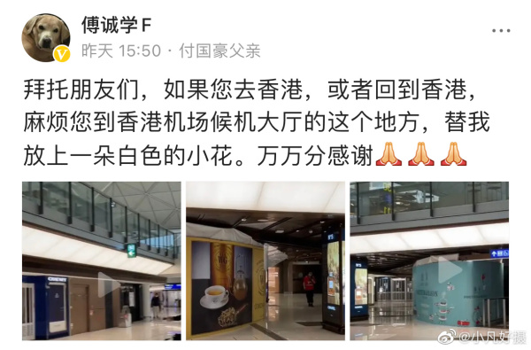今年4月9日，付成學發文拜託網民去香港機場為亡兒獻白花。（圖片來源：微博截圖）