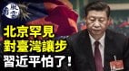 北京罕见对台湾让步习近平怕了习对刘亚洲下手(视频)