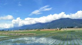 擊退失眠疲勞醫師教你「五元素平衡法」(圖)