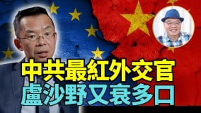 派消費券不應成常態沈四海：港財政盈餘應與民共享(視頻)