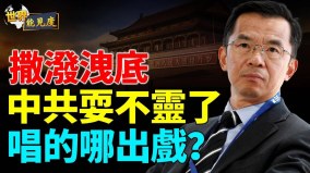 盧大使不是特立獨行的孤狼；一邊撒野一邊官運亨通(視頻)