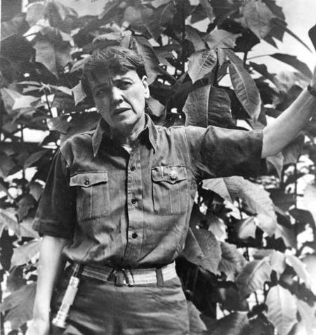 1939年艾格尼丝・史沫特莱由共产主义队伍派遣在中共中央在联合战线期间。