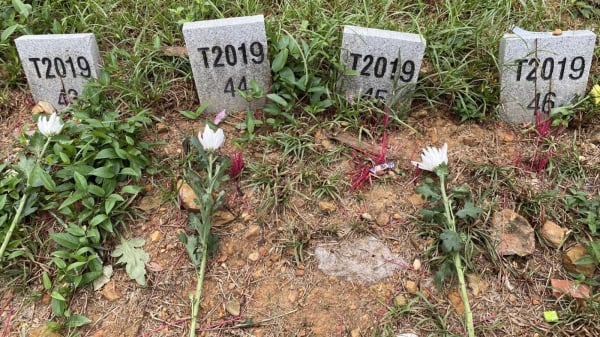 沙岭公墓所有墓碑只有编号和下葬年份。（图片来源：VOA）