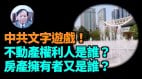 【谢田时间】中国买房市场是租赁市场买的只是使用权(视频)