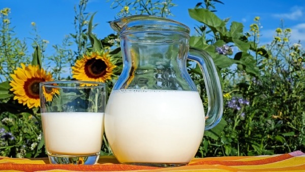 蛋白質與鈣質是牛乳中，最重要的營養物質。