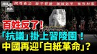 中國要內亂習仲勛陵園驚現抗議橫幅損失400億(視頻)