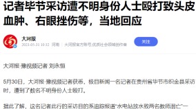 陆媒记者贵州采访遭不明身份者群殴传打人者为警察(图)