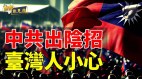 习近平武统转文统台湾怀柔政策逼迫台湾“归根”有效吗(视频)