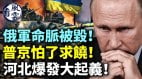 俄军命脉被毁普京怕了求饶河北爆发大起义(视频)