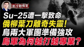 烏兩大軍團將強攻扎波羅熱神准：烏便攜導彈擊落Su-25(視頻)