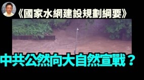 【王维洛专访】中共《国家水网建设规划纲要》公然向大自然宣战(视频)