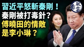 习近平怒斩秦刚秦刚被打毒针傅晓田曾是总理情妇(视频)