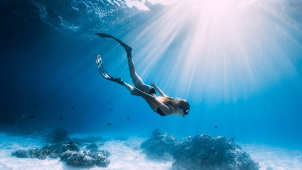 只靠一口气下潜的自由潜水运动在全世界愈来愈夯。