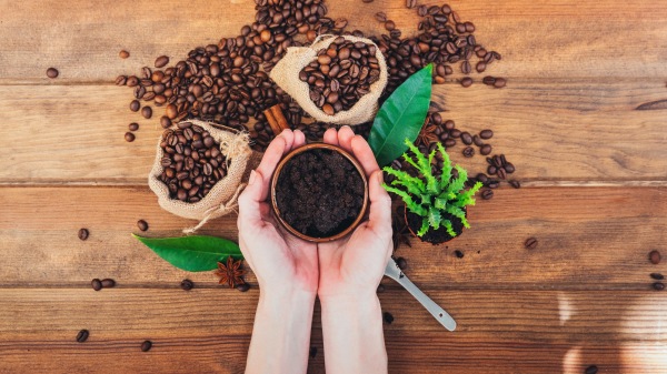 咖啡 咖啡渣 咖啡豆