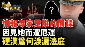 大反转他是中国间谍台湾间谍还是美国间谍(视频)