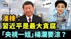 中共白手套赴美作證：中國民企加緊逃亡(視頻)