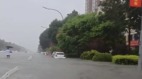 河北暴雨致9死6失蹤世界一流排水功能雄安現眼(圖)