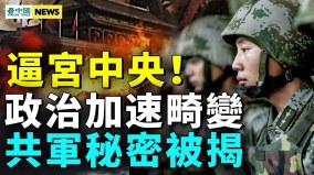 抗議遭毆打百姓覺醒張忠謀怒嗆中共(視頻)