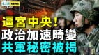 抗议遭殴打百姓觉醒张忠谋怒呛中共(视频)