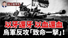 俄特種營中伏擊全軍覆沒以牙還牙203毫米巨砲狂轟(視頻)