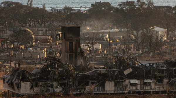 2023 年8 月12 日，在夏威夷毛伊岛西部拉海纳拍摄的野火过后，被烧毁的房屋和建筑物。(YUKI IWAMURA/AFP via Getty Images)