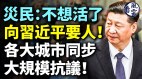 灾民倾家荡产不想活了；向习近平要人各大城市齐抗议(视频)