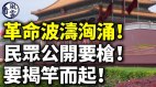 革命波涛汹涌民众公开要枪要揭竿而起(视频)