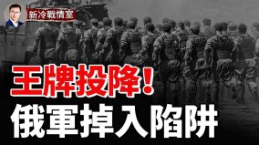 乌军越打越凶围杀俄军彻底收复罗博季涅(视频)