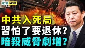习近平要退休担心被暗杀中共入死局(视频)