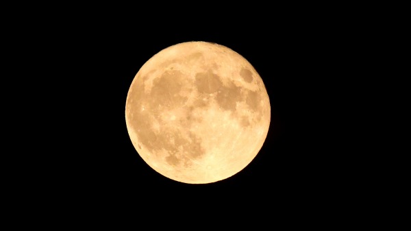 2023年8月1日晚，超级月亮在伊利诺伊州芝加哥升起。月亮是八月出现的两颗超级月亮之一。（Scott Olson/Getty Images)