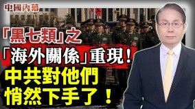 中共动手了涉及在海外留学生活工作过的中国人(视频)
