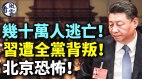 几十万人逃亡习近平遭全党背叛北京恐怖(视频)