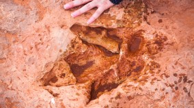 恐龙脚印重现德州干涸河床揭1亿年前足迹(图)