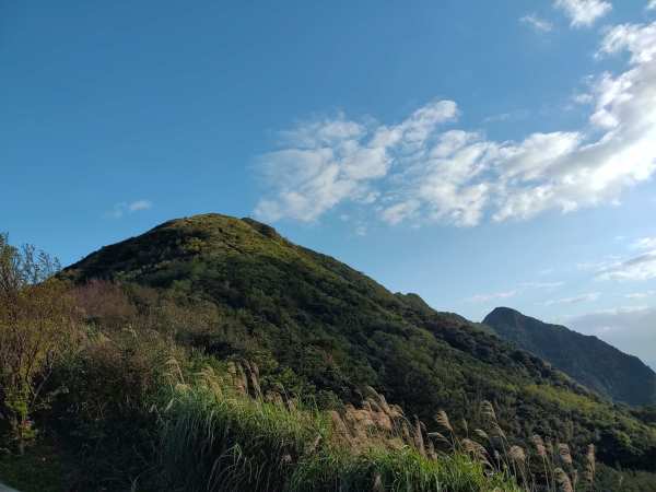 基隆山位于台湾东北部，海拔588公尺，名列台湾小百岳。