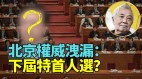 北京权威泄漏下届特首人选关键需“懂经济”(视频)