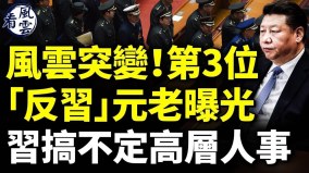 风云突变北戴河第3位“反习”元老曝光(视频)