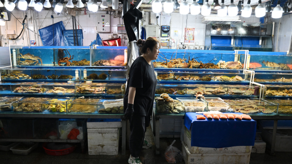 2023年8月24日的北京批發魚市，一個攤販在等待顧客。中國在8月24日禁止了所有日本海鮮進口，理由是日本「自私地」從福島核電站排放廢水。（圖片來源：GREG BAKER/AFP via Getty Images）