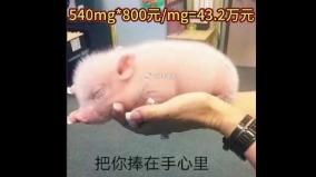 网曝“双一流”大学教授18亿天价喂猪套取经费手段惊人(图)