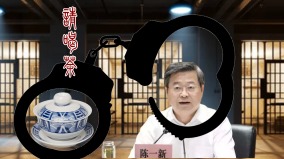 “请喝茶”成法律术语国安部10杯茶你喝了哪茶(组图)