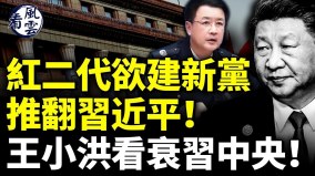 紅二代集體逼習近平下臺欲建新黨王小洪看衰習中央(視頻)