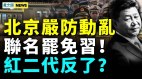 紅二代集體造反北京再搞大動作國產郵輪又丟人(視頻)