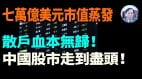 【谢田时间】中国股市狂跌习近平亲自上阵救股市(视频)