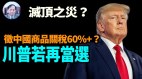 【谢田时间】60+关税意味着中国产品出口再无竞争优势(视频)