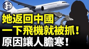 她返回中国一下飞机就被抓原因让人胆寒(视频)