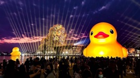 「黃色小鴨」與「屁屁鴨」超吸睛高雄燈會逾200萬人朝聖(組圖)