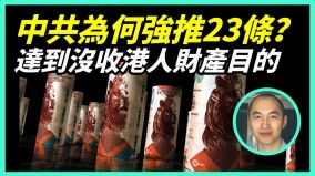 立23条中共全面管治香港条文抽象含糊容易入罪(视频)