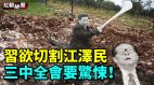 习欲切割江泽民三中全会要惊悚(视频)