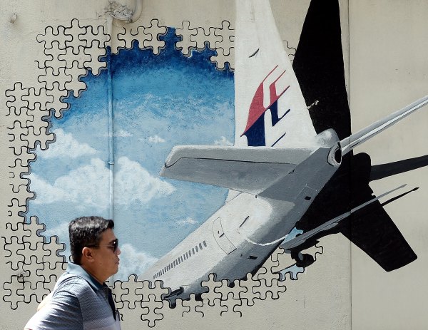 MH370失蹤12年海洋生物成為關鍵證據(圖)