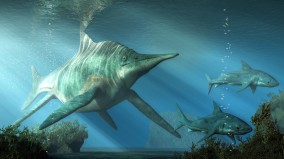 史上最巨大海洋生物远古巨型鱼龙在英国出土(图)